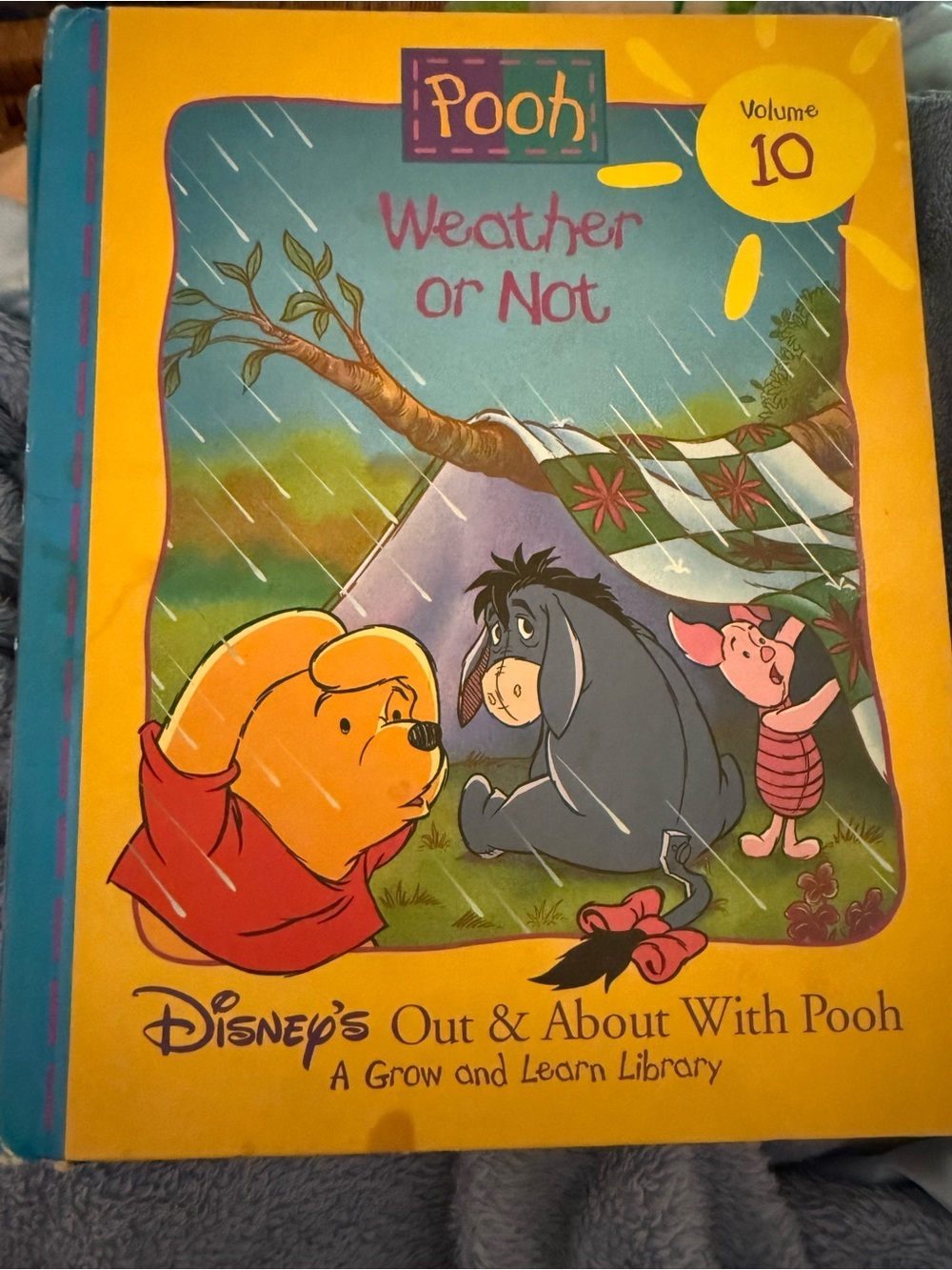 Disney Pooh Weather or Not Children's Book - Hardcover